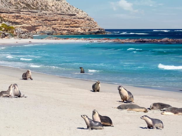 south-australia-1.jpg